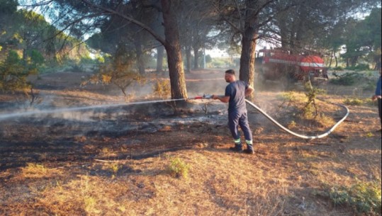 Zjarr në disa fshatra në Vlorë, në zonën e Hidrovorit digjen 750 hendek bari