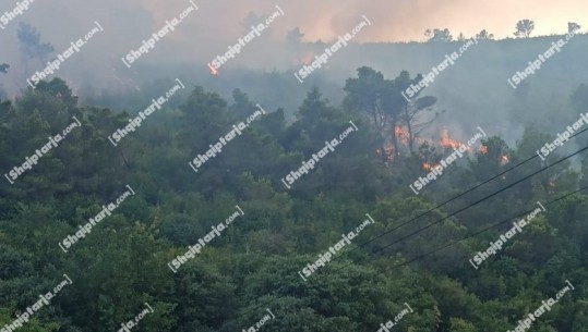 Situata nga zjarret në vend, Ministria e Mbrojtjes: Normalizohet situata në 10 vatra