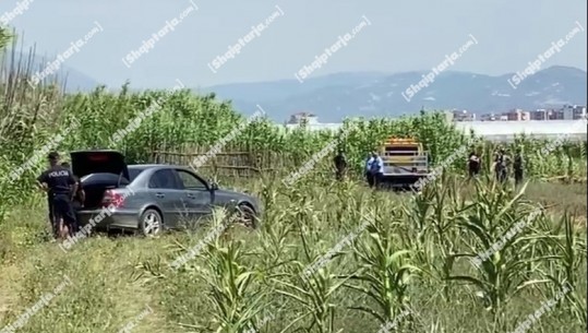 7000 rrënjë kanabis mes misrit në Mujalli të Fierit, shpallen në kërkim 4 kultivuesit! Dje u arrestuan 2 anëtarë të tjerë të grupit