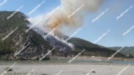Tjetër vatër zjarri në Lezhë, digjet një sipërfaqe me shkurre dhe pemë pranë Urës së Zogut (VIDEO)