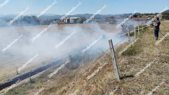 Aktivizohet një vatër zjarri në Bunavi të Vlorës (VIDEO)