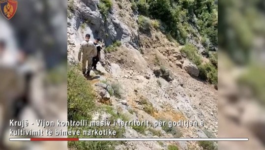 Operacioni anti-kanabis me 220 policë në Malësinë e Krujës, plagoset inspektori 47-vjeçar! U rrëzua nga terreni shkëmbor