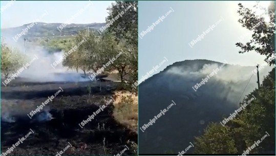Zjarr në Krastë të Elbasanit, përfshihet nga flakët një sipërfaqe me ullinj në Peqin, përsëri riaktivizohet vatra në Brezane të Lezhës