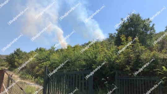 Zjarr në Tragjas të Vlorës, përfshihet nga flakët sipërfaqja me shkurre