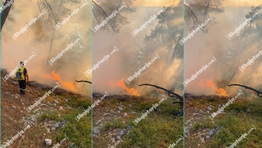 Zjarret në vend, ministria e Mbrojtjes: Janë 3 vatra zjarri aktive në vend! Thirrja për qytetarët: Parashikohen ditë të nxehta! Mos hidhni bishtat e cigareve në bar