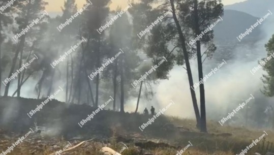Riaktivizohet vatra e zjarrit në Krastë të Elbasanit