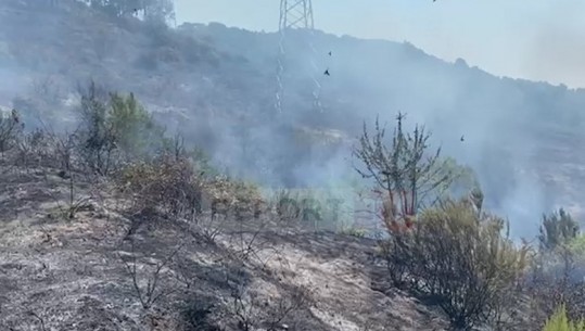 Zjarr në Risili të Vlorës, flakët pranë Ambulancës së fshatit, zjarrfikëset drejt vendngjarjes