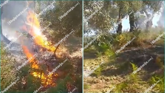 Zjarr në fshatrat Panaja dhe Kërkovë të Vlorës, terreni vështirëson shuarjen e flakëve