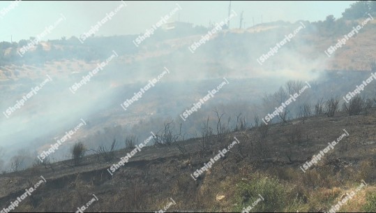 Zjarr në fshatin Karbunarë të Lushnjës, digjen 30 hektarë tokë me ullishte, bimësi të thatë dhe shkurre
