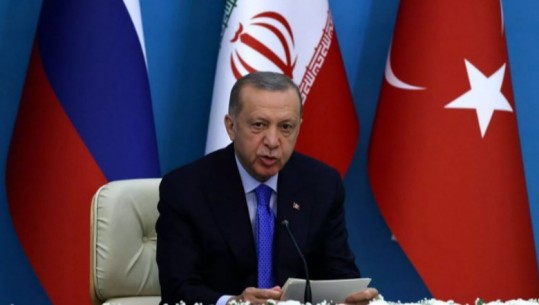 Erdogan: Eksportet e grurit në Detin e Zi do të fillojnë në ditët në vijim