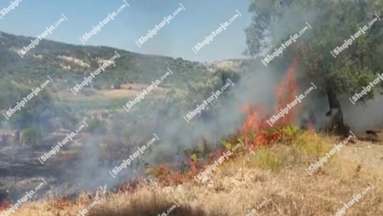 Situata e zjarreve në vend, Ministria e Mbrojtjes: 13 vatra janë shuar, 5 ende aktive, vijon puna për shuarjen e flakëve në disa zona