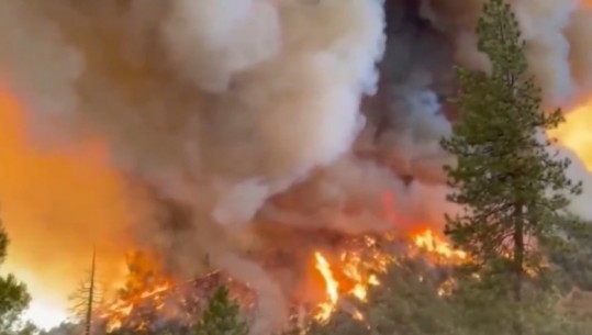Zjarret, shpallet gjendja e jashtëzakonshme në Kaliforni! 6000 njerëz të evakuuar, 10 shtëpi të shkatërruara
