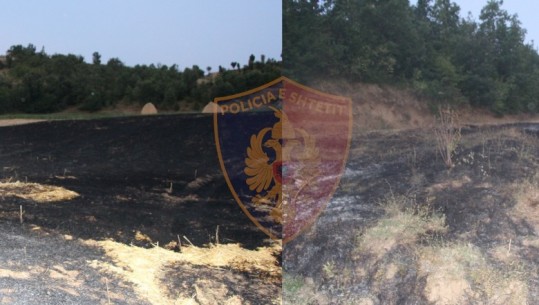 Ndezën zjarr në sipërfaqen me pyje në Dibër,  vihen nën hetim dy persona