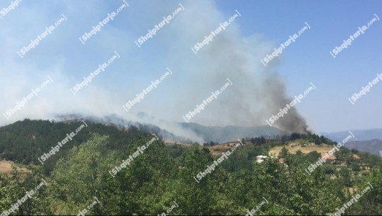 Zjarr në Ndërshen, Orosh të Mirditës, rrezikohen të digjen banesat! Kërkohet ndërhyrje nga ajri (VIDEO)