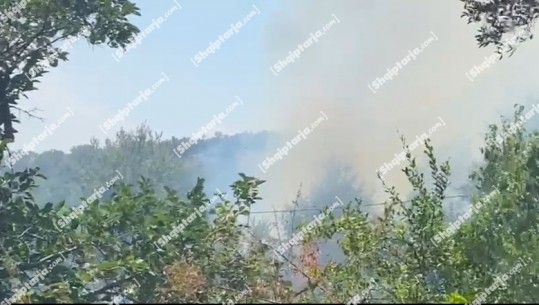 Zjarr i përmasave të mëdha në fshatin Shijon të Elbasanit, në rrezik disa banesa (VIDEO)