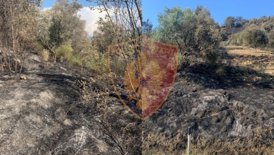 Fier/Ndezi zjarr në tokën e tij, flakët u përhapën duke djegur një sipërfaqe me ullinj, nën hetim 60-vjeçari nga fshati Lalar