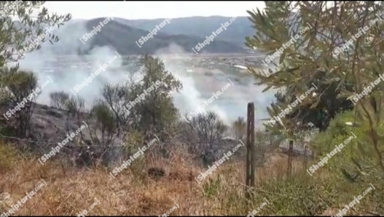 Zjarr i përmasave të mëdha në Mimias të Beratit, në rrezik disa banesa, flakët afër shtyllës së tensionit, shkrumbohen plantacionet me vreshta (VIDEO)