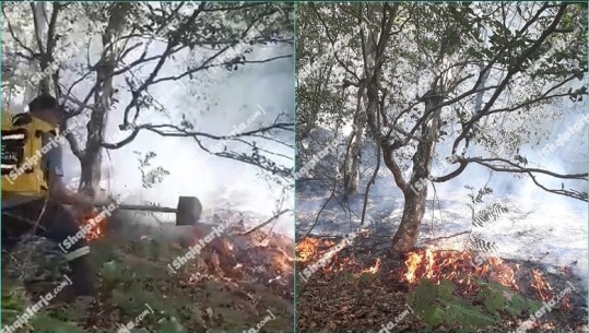 Zjarr në malin Shushicë të Elbasanit, digjet një sipërfaqe pyjesh! Zjarrfikësit në vendngjarje (VIDEO)