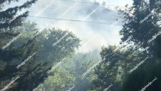 Situatë kritike në Dropull, zjarret i afrohen banesave në tre fshatra! Kërkohet ndihmë nga Greqia për ndërhyrje nga ajri