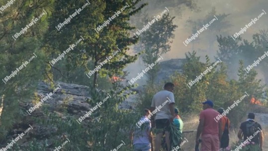 Situatë kritike nga zjarret në Dropull, asfiksohet nga tymi një banor i fshatit! Vijnë dy avionë nga Greqia për shuarjen e flakëve 