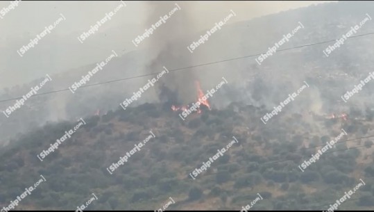 Zjarr në Bistricë të Sarandës, kërkohet ndihma e 40 forcave dhe mjeteve të armatosura