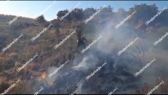 Vijon ‘beteja’ me zjarrin në Margellic të Fierit, digjen 200 rrënje ulliri! Terreni i vështirë detyron zjarrfikësit të përdorin mjete rrethanore (VIDEO) 