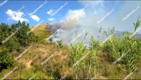 Zjarr i madh te Vau i Dejës, flakët përfshijnë malin e Zefjanës! Erërat po përparojnë me shpejtësi (VIDEO)