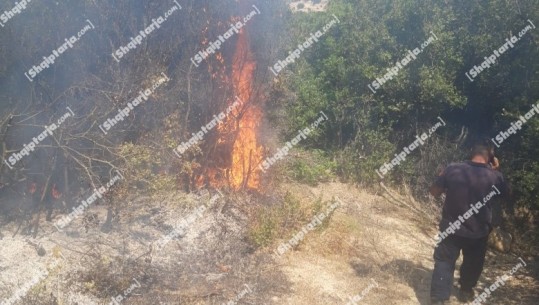 26 vatra zjarri në 24 orë! Rrezikohen banesat në fshatin Gjysulkanë në Tiranë