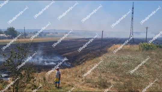 Zjarr i madh  në Konjat të Lushnjës, pranë vatrave një pikë karburanti! Flakët u përhapën nëpër tokat bujqësore