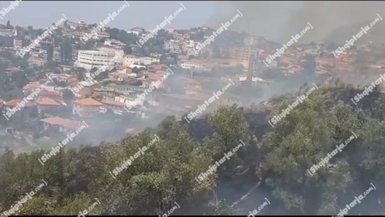 Zjarr në Krujë pranë kalasë, rrezikohen disa banesa! Dy grupe zjarrfikësish në zonë