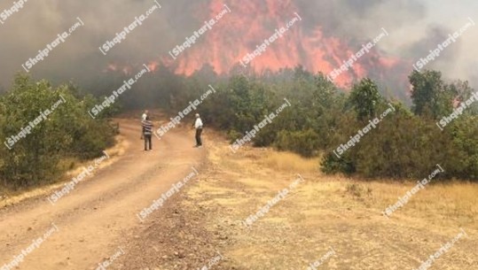 Zjarret në vend, IGJEUM: Në 10 qarqe rrezikshmëria e lartë, nuk priten reshje