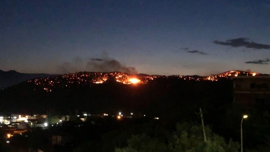 Zjarri në ullishtën e Elbasanit, Luçiano Boçi: E tmerrshme, në dorë të fatit! Askush nuk ndërhyn