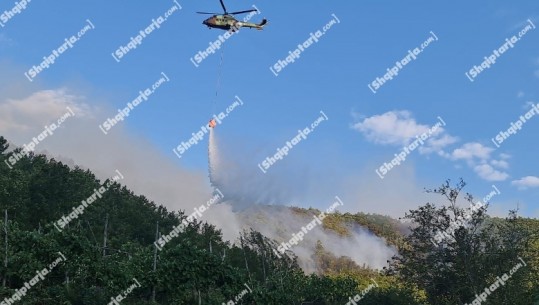 Zjarri përhapet me shpejtësi në Kurbin, ndërhyhet me helikopter për shkak të terrenit malor (VIDEO)