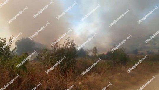 Vijon zjarr në Dushkarak të Vlorës, digjen 30 hektarë tokë! Shkrumbohet nga flakët një banesë në zonë