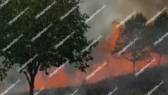 Zjarri në Bukmirë të Mirditës ende aktiv, flakët përparojnë në fshatin Shëngjergj, rrezikohen 3 banesa