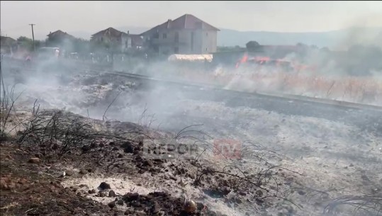 Shtohen vatrat e zjarrit në Shkodër, aktualisht 3 aktive! Rrezikon të digjet një lagje
