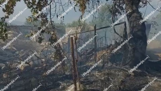 Zjarri në Dushkarak të Selenicës, digjen 3 shtëpi të pabanuara