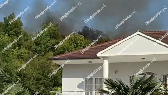 Situatë problematike nga zjarri në Bërdicë të Shkodrës, 15 deri në 20 banesa rrezikohen nga flakët