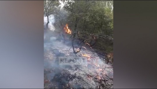 Zjarr gjatë natës në fshatin Levan të Memaliajt bariu i zonës i vë flakën 6 hektarëve tokë! Flakët agresive