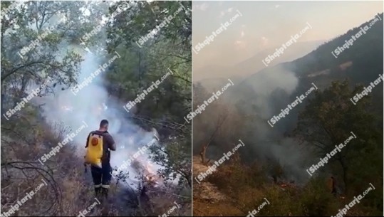 28 vatra zjarri 24 orët e fundit! Digjen 3 dynym tokë në Qafëpanjë të Pogradecit! Përfshihet nga flakët një sipërfaqe toke në Novoselë