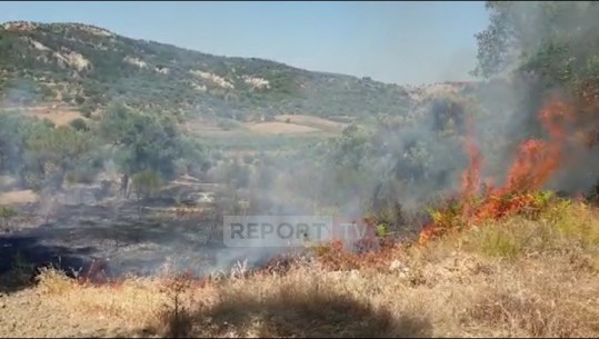 Zjarret në vend, flakët rrezikojnë zonën e mbrojtur të Bahollit në Berat! Tym e flakë në Levan të Memaliajt, bariu djeg 6 hektarë tokë (VIDEO)
