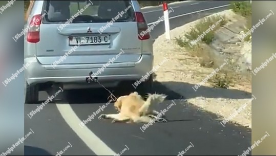 E trishtë! Shoferi lidh qenin pas makine dhe e tërheq zvarrë në Vlorë