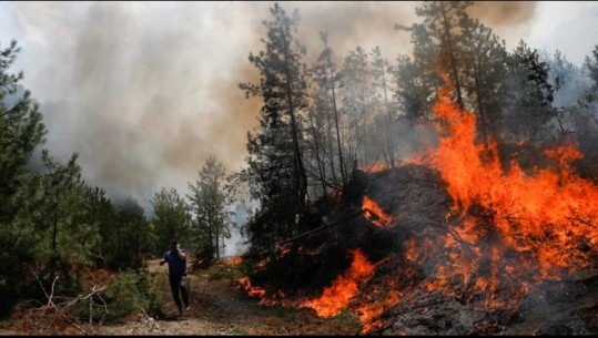 Tre vatra zjarri në vende të ndryshme në lagjen Kala Berat! Dyshohet i qëllishëm