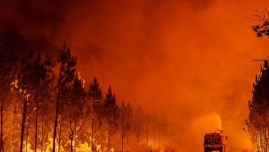 Europa në 'flakë', mbi 1 mijë të vdekur nga i nxehti! 7 mijë ha të djegura në Francë, evakuohen 10 mijë banorë 
