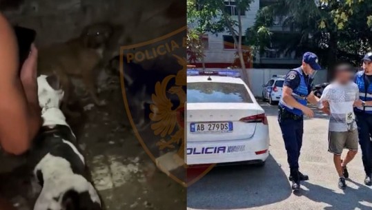 Organizonte përleshje me qen dhe i publikonte në rrjete sociale, nën hetim 24-vjeçari nga Tirana