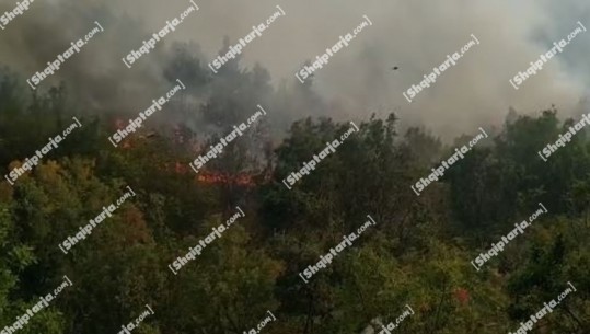 Zjarri në Tragjas të Vlorës, përkeqësohet situata , 3 mjete zjarrfikëse dhe 12 efektivë në vendngjarje