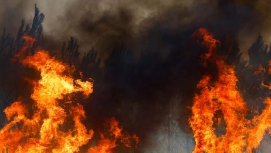 Zjarre masive në Francë/ Zjarrfikësit evropianë i bashkohen betejës për shuarjen e flakëve