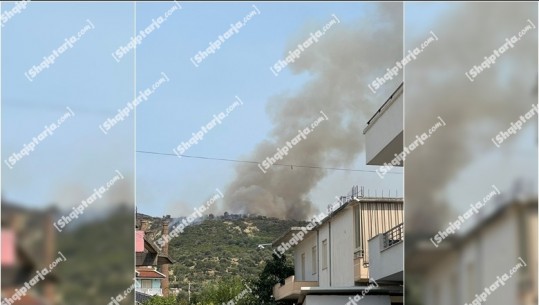 Zjarr në Babicë të Vlorës, digjen kodrat me ullinj! 3 zjarrfikëse po punojnë për shuarjen e flakëve, rrezikohet linja e tensionit të lartë (VIDEO)
