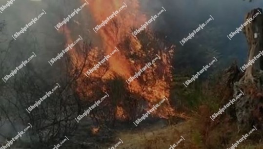 Zjarri në Babicë të Vlorës, era përhap flakët drejt fshatit Alikokë