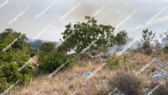 Vatra e zjarrit në Palasë të Vlorës ende aktive, nis ndërhyrja me helikopter